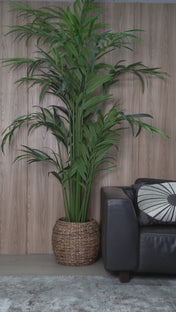 Set Pantalón 2 Piezas Elegante Marca Trucco´s