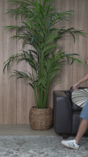 Bermuda Tiro Alto Marca Trucco´s